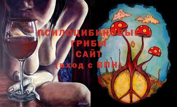 амф Беломорск